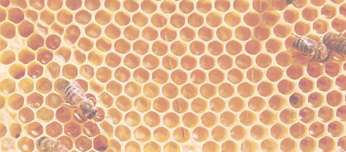 abejas y cosmética
